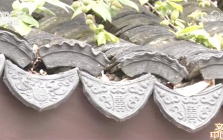 科技老宅 文化中国行｜给百年老宅做“细胞解剖”，看高科技如何助力古城焕新生