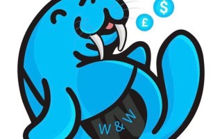 海象网络科技，海象网络科技有限公司