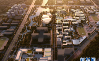 襄阳科技公司 傍上“宁王”，龙蟠科技70亿“押注”磷酸铁锂，赌输了怎么办